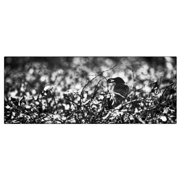 PHOTO84, CLUB, 84 , LUBERON